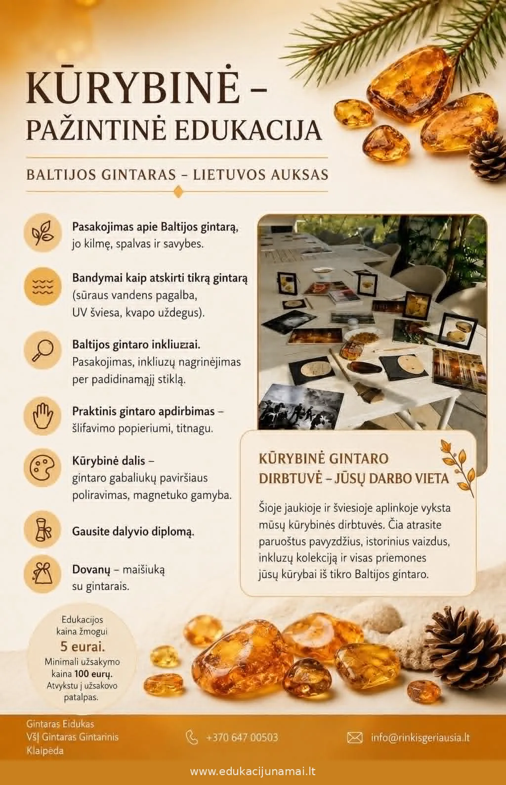 EDUKACIJA GINTARAS - BALTIJOS AUKSAS SU MAGNETUKO GAMYBA