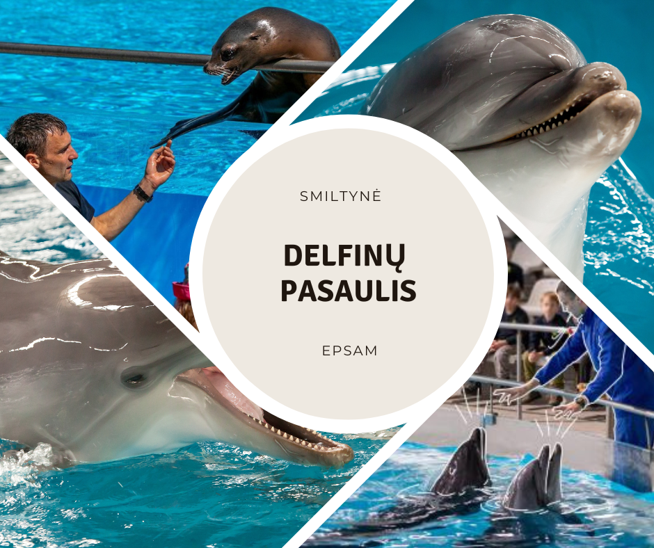 Smiltynė - delfinų diena