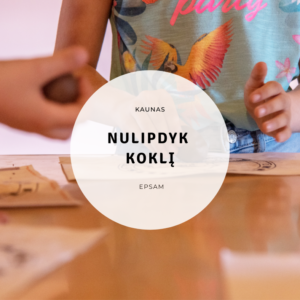 Kaunas - edukacija „Nulipdyk koklį“