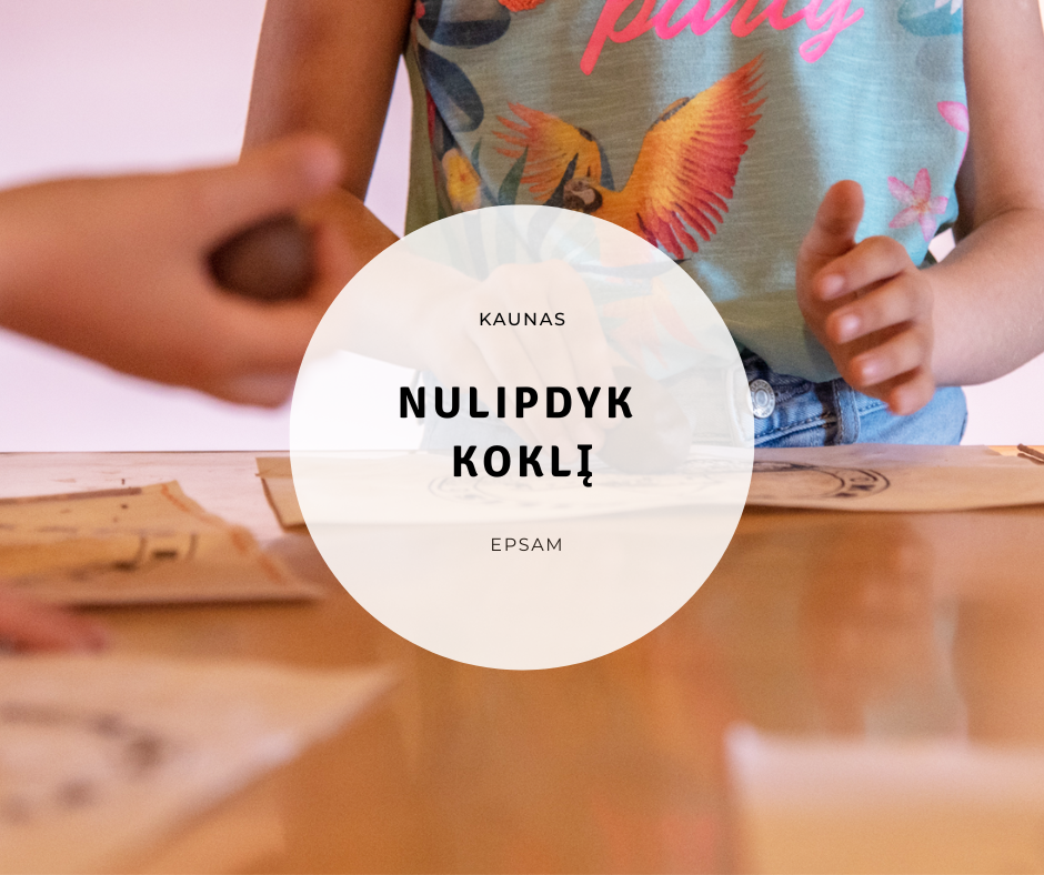 Kaunas - edukacija „Nulipdyk koklį“