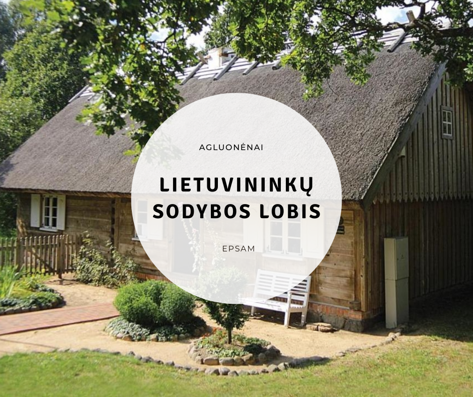 Agluonėnai - orientacinis žaidimas “Lietuvininkų sodybos lobis”